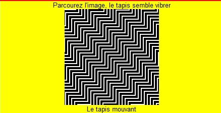 illusion.JPG